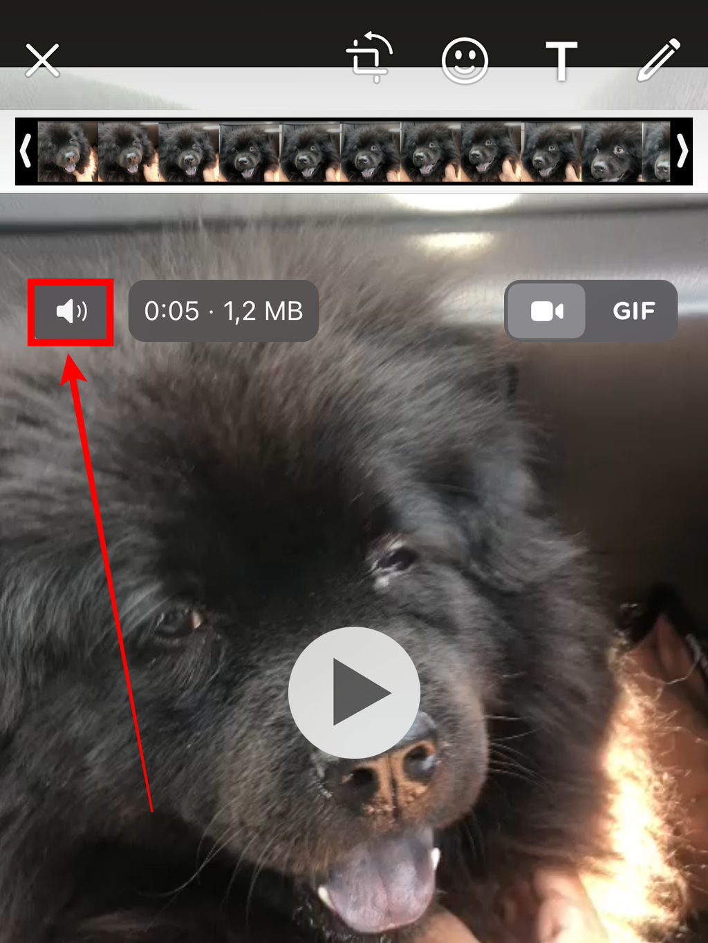Esse é o botão usado para silenciar vídeos antes de serem enviados no WhatsApp. Repare que também é mostrado o tamanho da mídia (Captura de tela: Caio Carvalho/Canaltech)