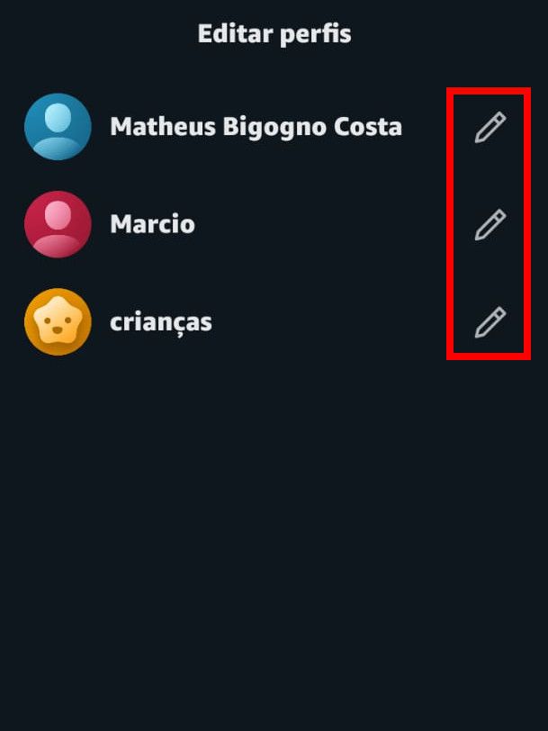 Clique no ícone de "Lápis" para poder editar um perfil (Captura de tela: Matheus Bigogno)