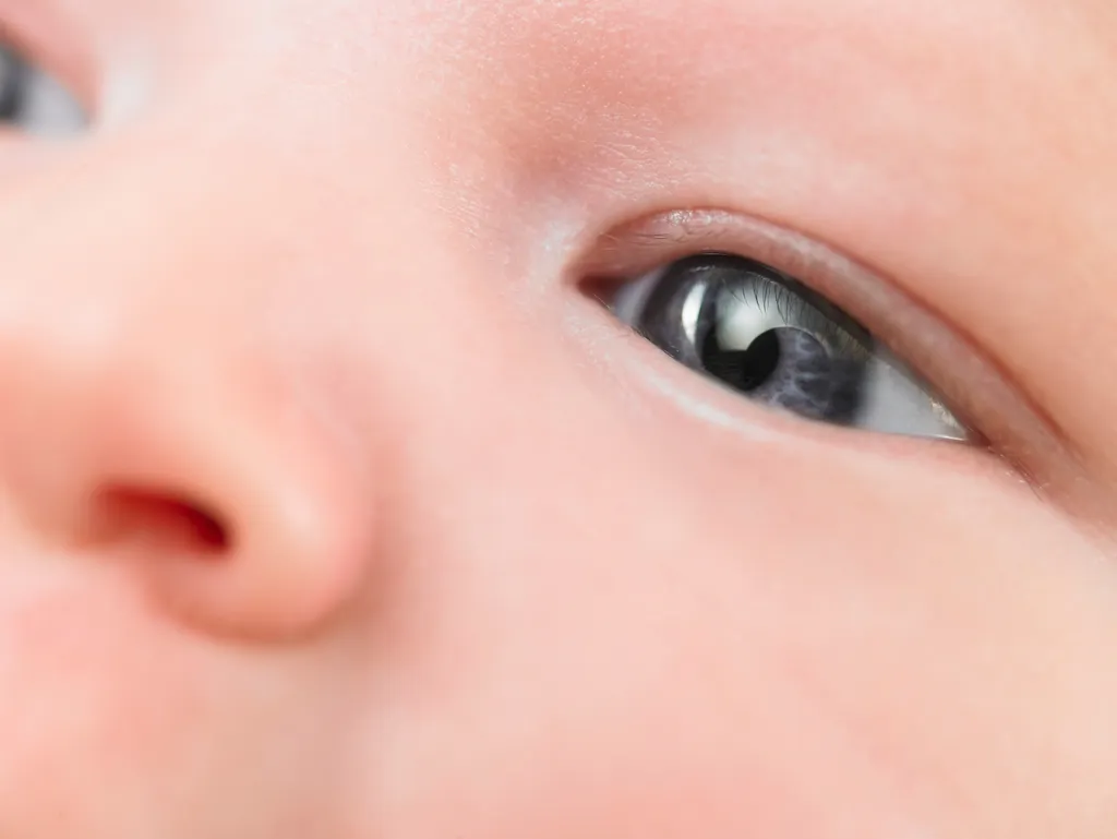 Os olhos podem indicar sinais de autismo e TDAH, segundo estudo (Imagem: Nualaimages/Envato)