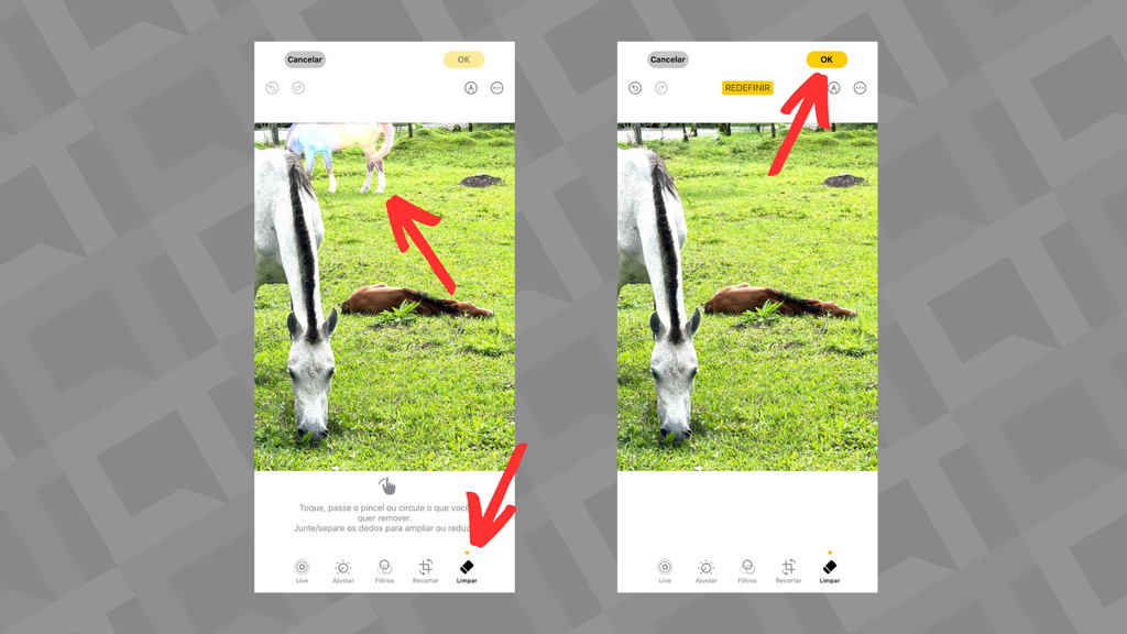 Captura de tela/Clara Pitanga