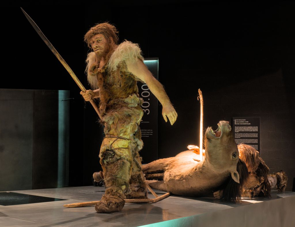 Não se sabe o que fez o neandertal francês e sua população não se misturar com os vizinhos por 50.000 anos, mas isso pode indicar um comportamento diferente do nosso (Imagem: Trougnouf (Benoit Brummer)/CC-BY-4.0)