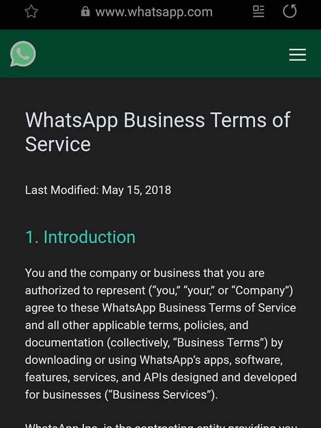 Os termos de uso do WhatsApp podem ser acessados no menu do aplicativo (Captura de tela: Ariane Velasco)