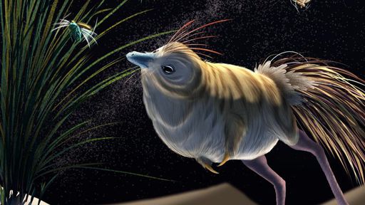 Assim como as corujas, pequeno dinossauro tinha visão noturna e audição aguçada