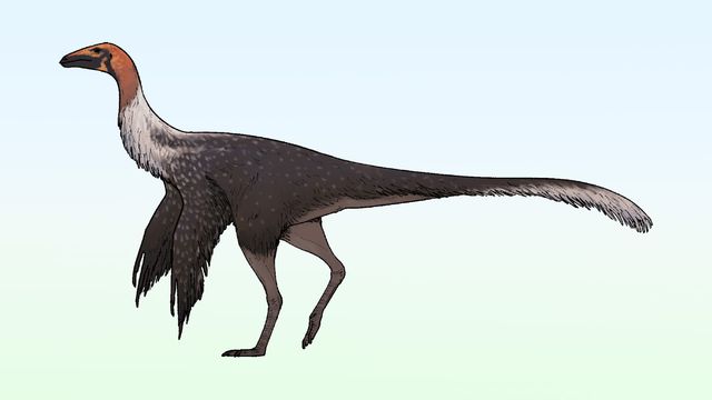 Ddinodan/CC BY 4.0