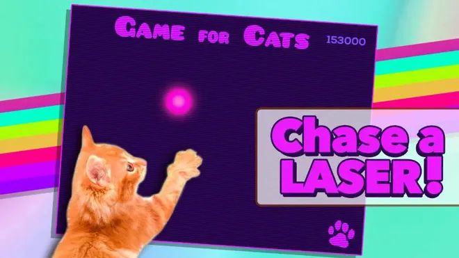 5 games que gatinhos são os protagonistas das aventuras para smartphone com  Android e iOS - Purebreak