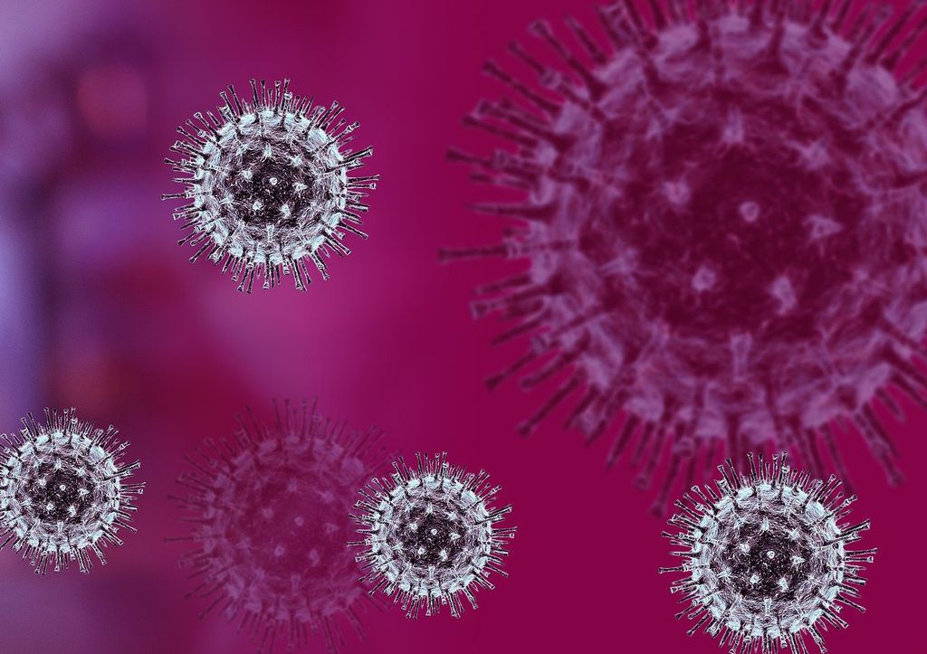 Especialista levanta alerta para variante do coronavírus nos EUA (Imagem: fernando zhiminaicela/Pixabay)