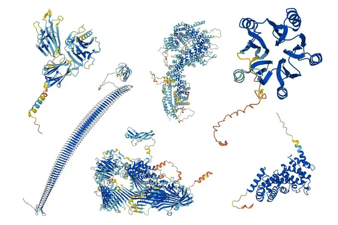 6 proteínas previstas pela AlphaFold em 2022, no lote dos milhões disponibilizados pela plataforma (Imagem: DeepMind/Reprodução)