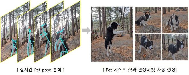 El modo Toma única ahora reconoce mascotas para mejorar las grabaciones (Imagen: Divulgación/Samsung)