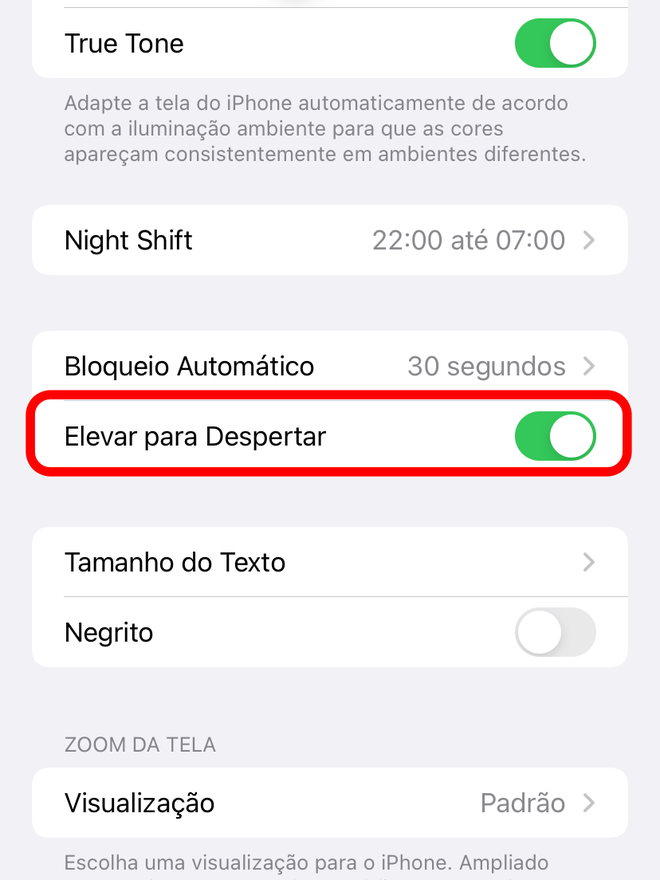 Habilite a função acima para despertar o iPhone levantando-o fisicamente - Captura de tela: Thiago Furquim (Canaltech)