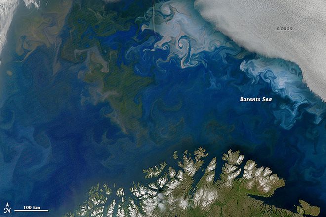 População de fitoplâncton florescendo no Mar de Barents, na costa da Noruega e da Rússia (Imagem: Reprodução/NASA)
