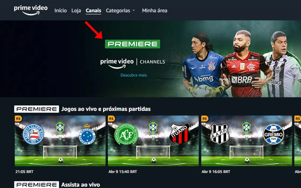 Prime Video fecha parceria com o Premiere para transmitir jogos do  futebol brasileiro - Esporte News Mundo
