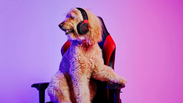 Os melhores pets dos games - Canaltech