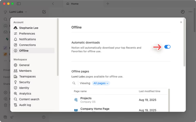 Como ativar o download automático do Notion (Imagem: Reprodução/Notion)