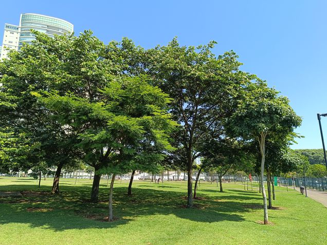 Redmi Note 12 Pro