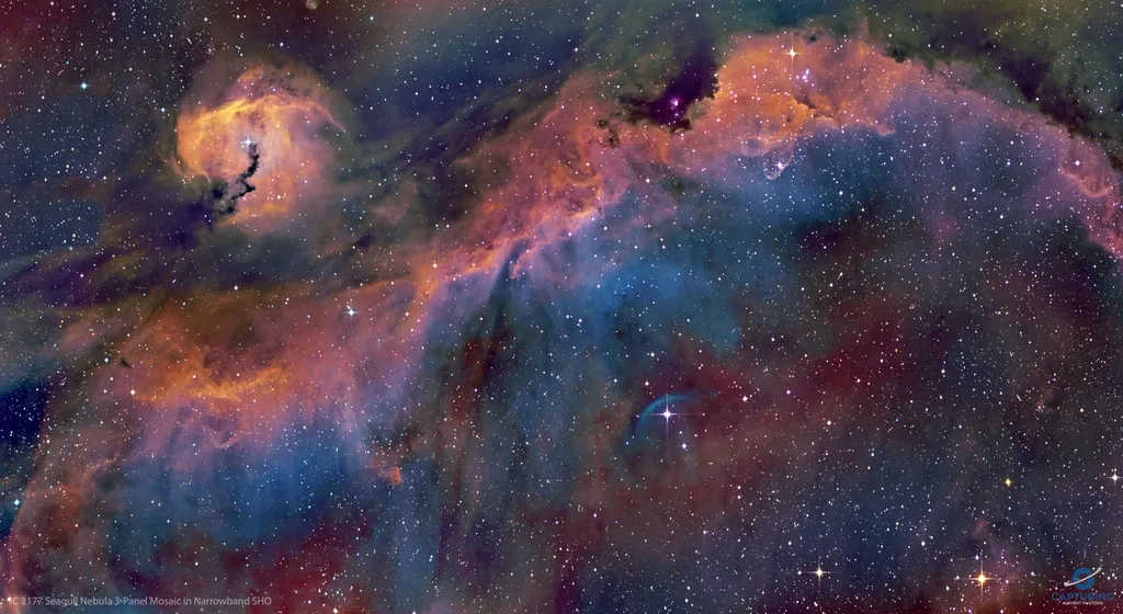 A Nebulosa da Gaivota é formada por gás e poeira (Imagem: Reprodução/Carlos Taylor)