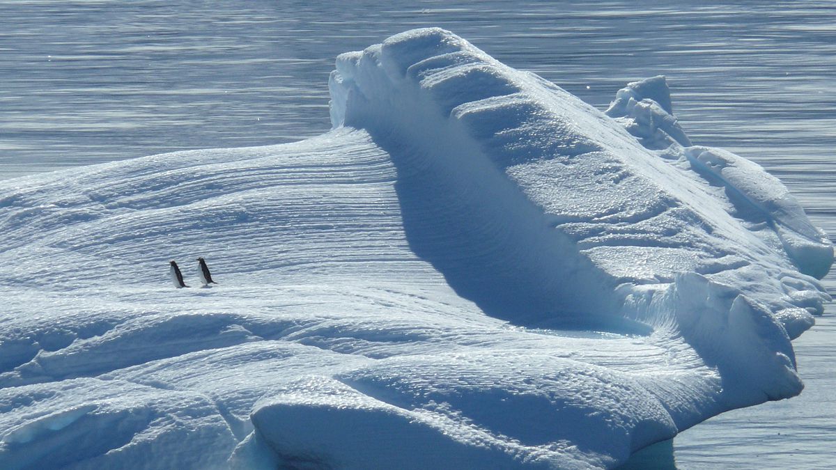 Antártida ganhou gelo apesar do aumento da temperatura global — a NASA explica