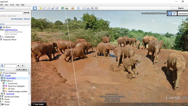 Faça um safari virtual e veja animais selvagens por meio do Google Earth