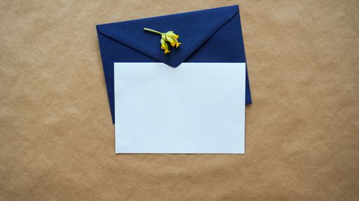 Os 5 melhores aplicativos para fazer convites personalizados