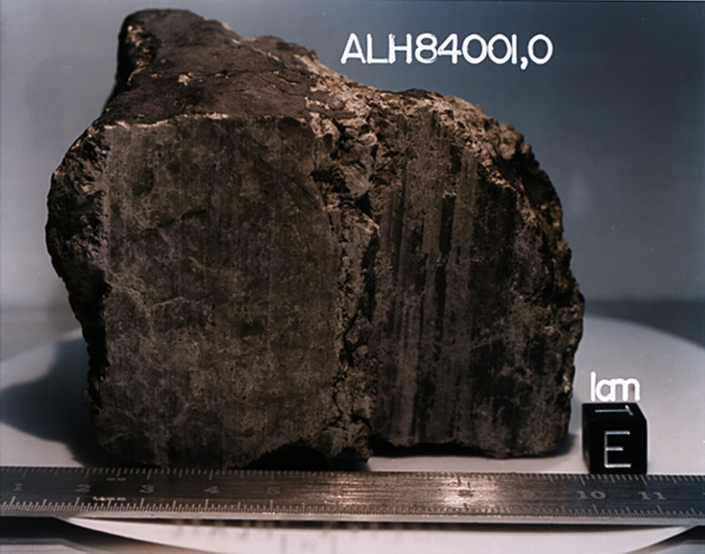 O meteorito Allan Hills 84001 (Imagem: Reprodução/NASA/JSC/Stanford University)