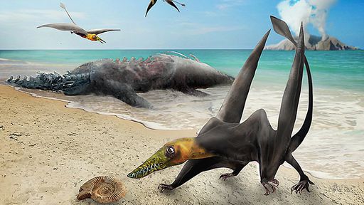 Dragão alado! Novo pterossauro é descoberto no Deserto do Atacama, no Chile