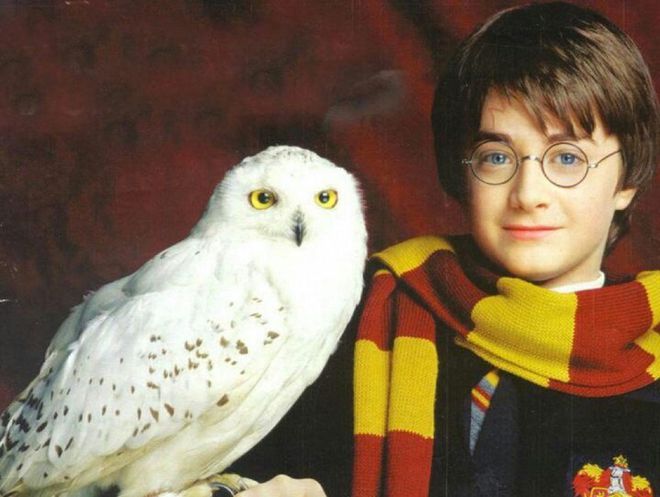 Harry Potter ganhará um reboot em formato de série pela Max (Imagem: Divulgação/Warner Bros. Pictures)