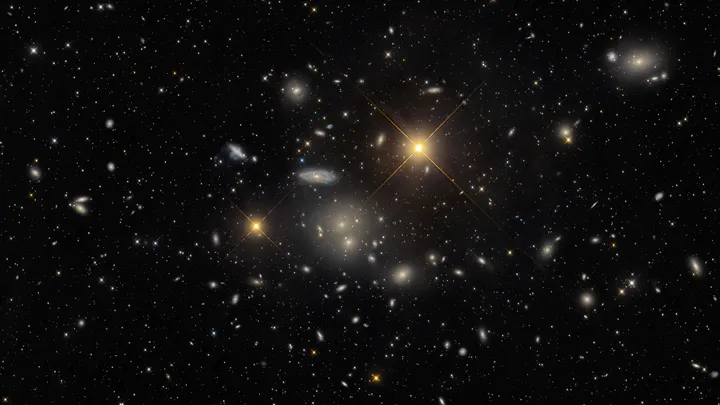 O aglomerado de galáxias Hidra abriga mais de 100 galáxias (Imagem: Reprodução/Marco Lorenzi, Angus Lau, Tommy Tse)