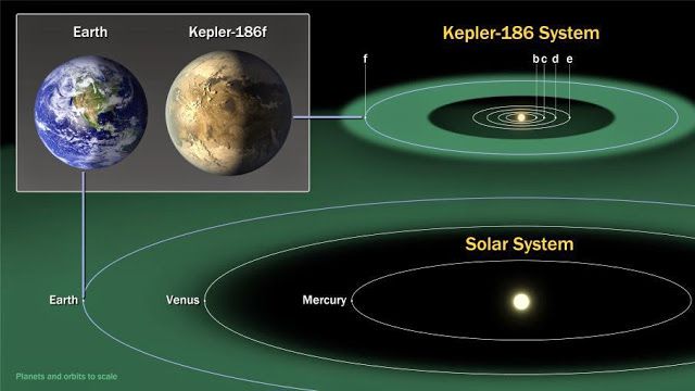 Comparação da zona habitável (em verde) do Sistema Solar com o sistema do Kepler-186f (Imagem: NASA)