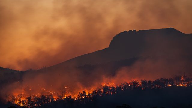 Matt Palmer/Unsplash