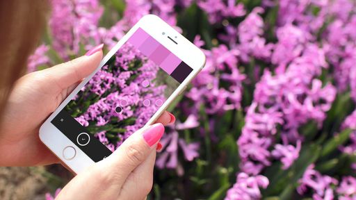 Os 10 melhores apps iOS da semana (10/07/19)