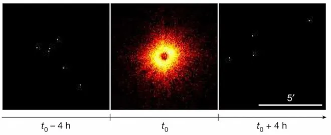 A estrela YZ Reticuli, no centro da explosão, foi observada por diferentes câmeras do eROSITA (Imagem: Reprodução/YZ Reticuli)