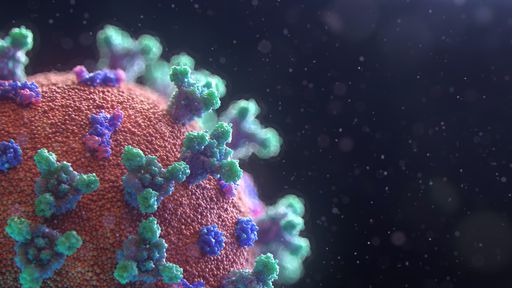 Estudo polêmico levanta possibilidade do coronavírus se integrar ao nosso DNA