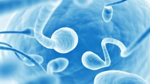 Cientistas descobrem composto para o anticoncepcional masculino