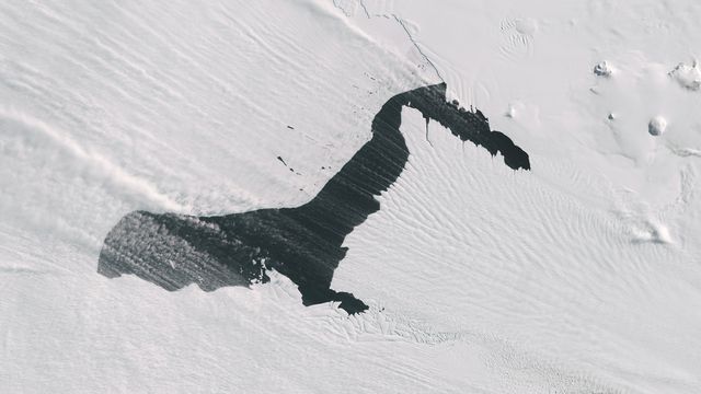 Wanmei Liang/NASA Earth Observatory