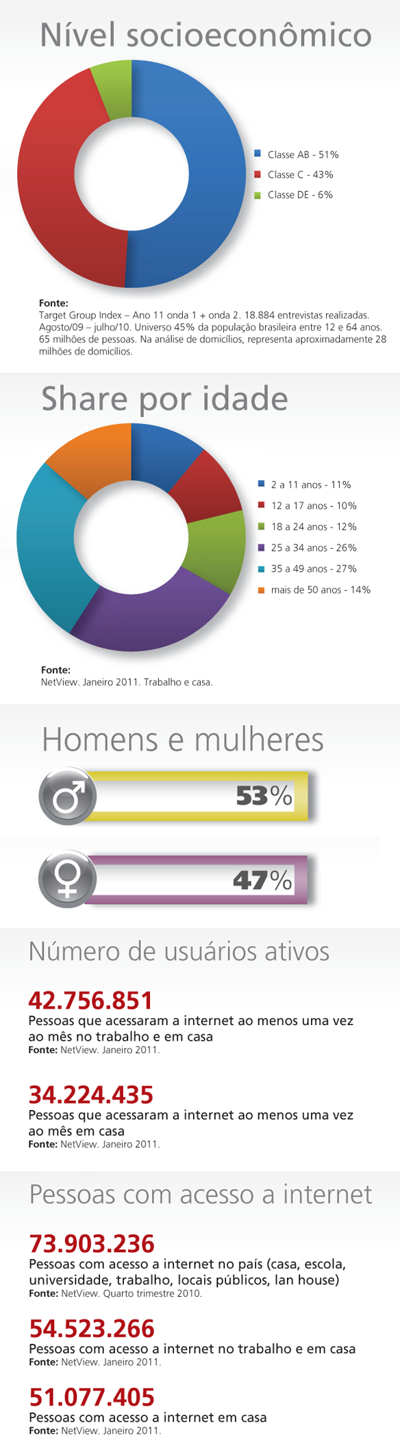 Infográfico Internet no Brasil