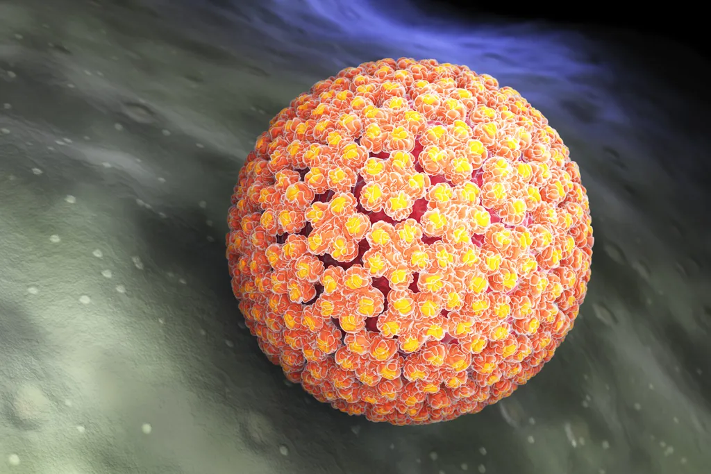 Pesquisa brasileira descobre cepa mais perigosa do HPV para o câncer (Imagem: iLexx/Envato)