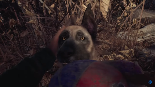 A Bruxa de Blair | Gameplay do jogo mostra interação com companheiro animal