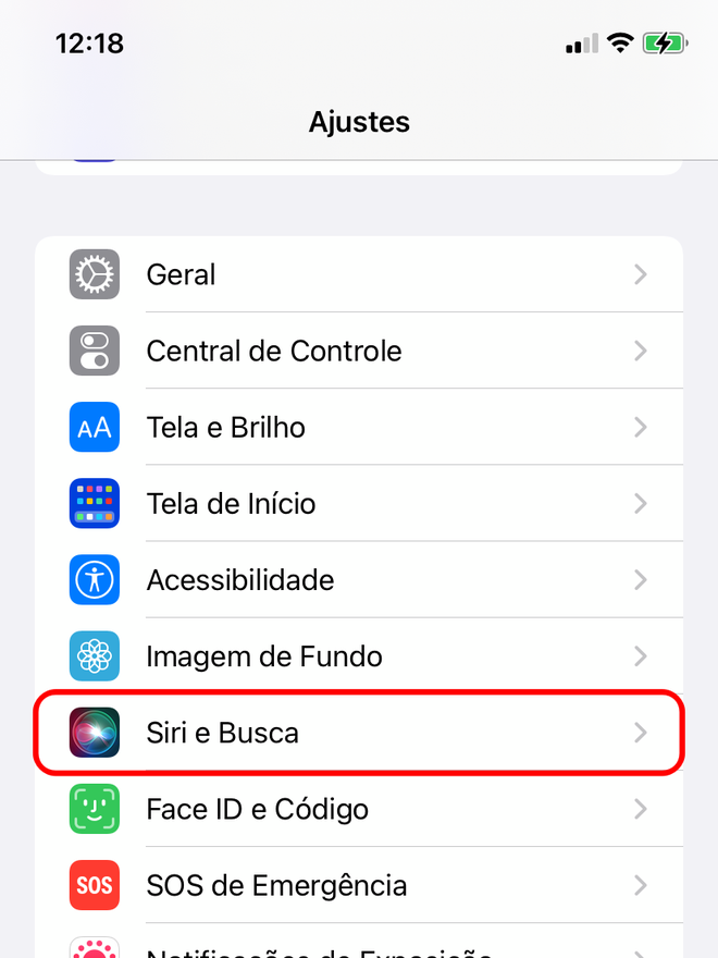 Entre nos ajustes da Siri no dispositivo Apple - Captura de tela: Thiago Furquim (Canaltech)
