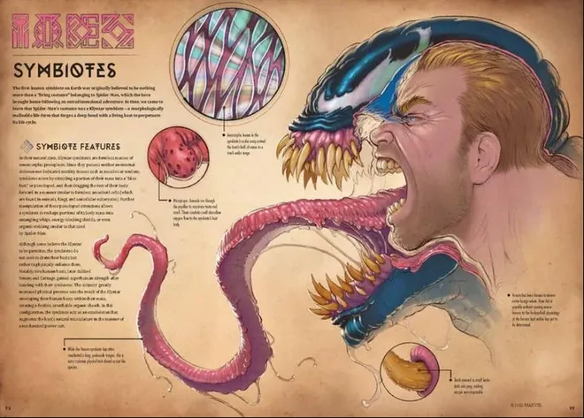 Marvel anuncia livro com ilustrações de anatomia de seus principais heróis 