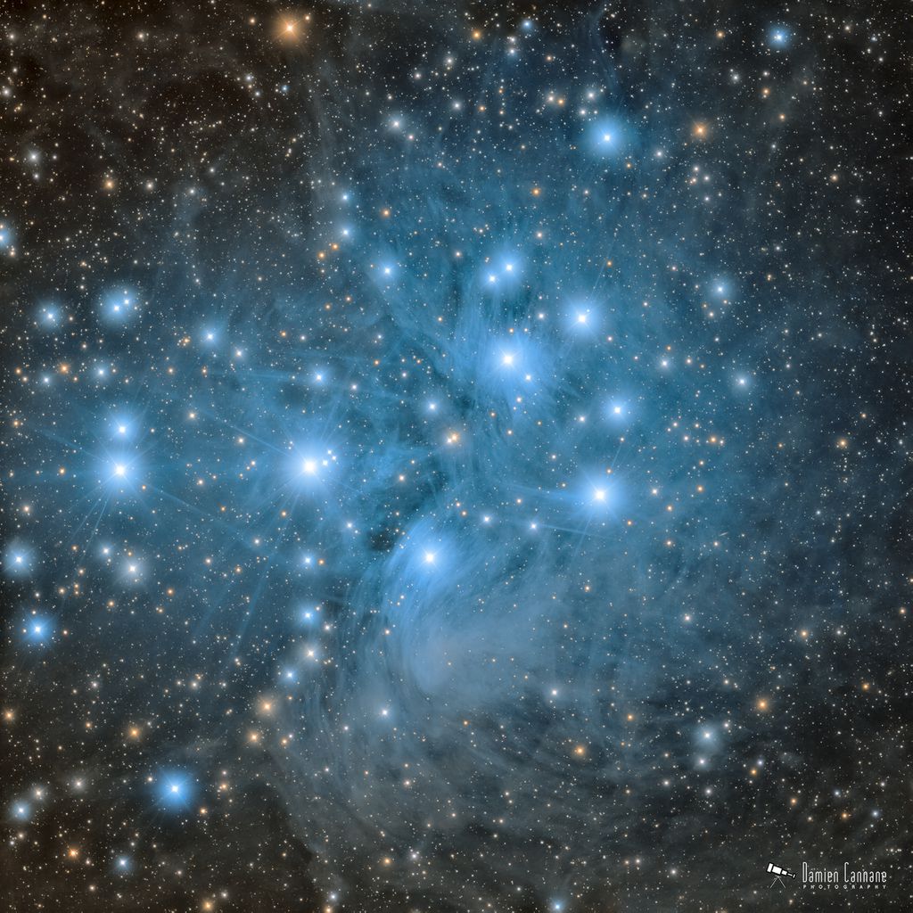 O aglomerado estelar Plêiades (Imagem: Reprodução/Damien Cannane)