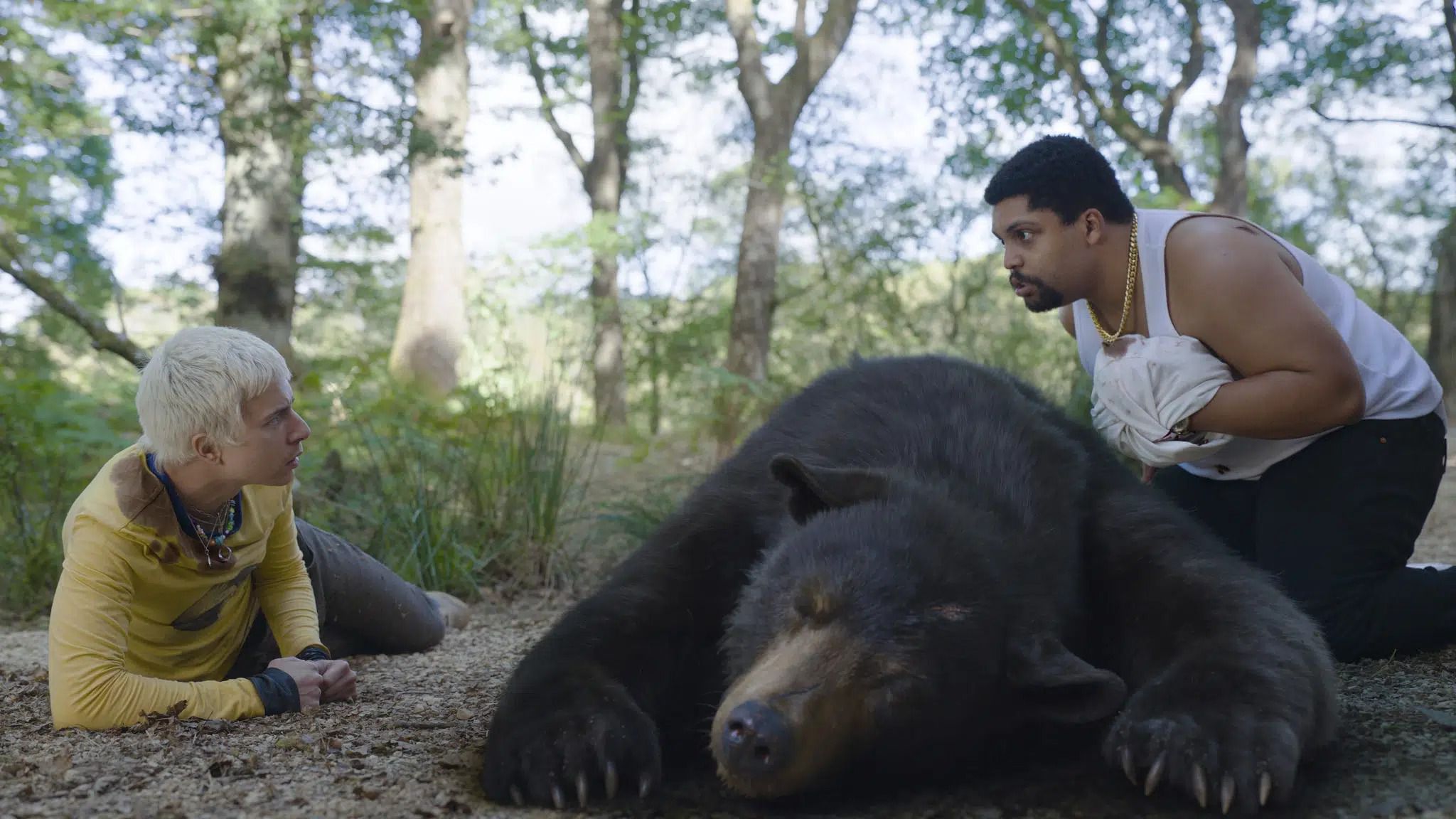 O Urso do Pó Branco mostra um urso cocainômano