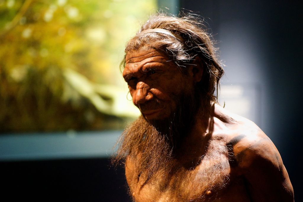 Reconstrução de neandertal