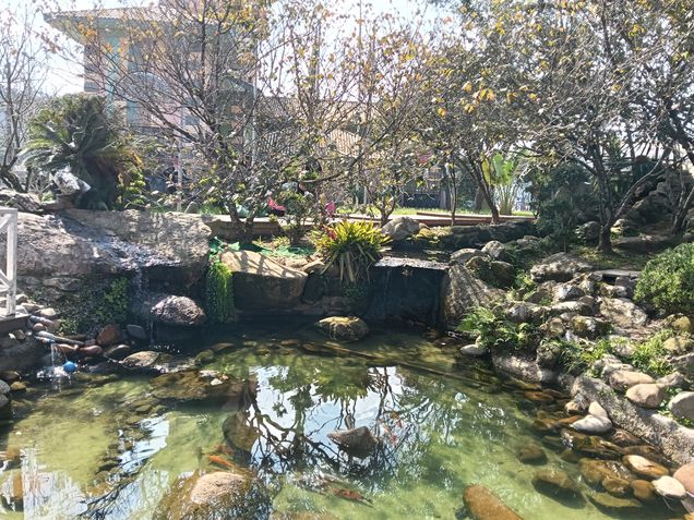 Fotos tiradas com o Oppo A5 Pro