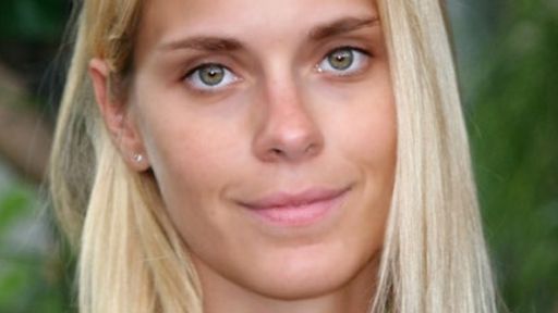 Lei Carolina Dieckmann e o sistema penal brasileiro