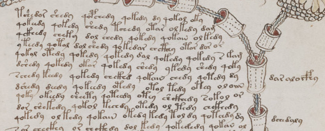 Detalhe do manuscrito Voynich. Foto: Biblioteca Beinecke/Universidade de Yale