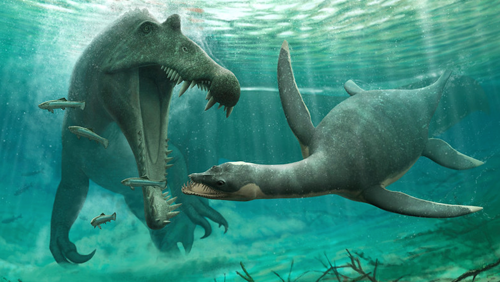 Os plesiossauros, répteis marinhos pescoçudos, ficaram apenas alguns milhões de anos na Terra antes de serem extintos — eles não eram tão bem adaptados quanto os tubarões para sobreviver às extinções em massa que acometeram a Terra durante toda sua história (Imagem: University of Bath)