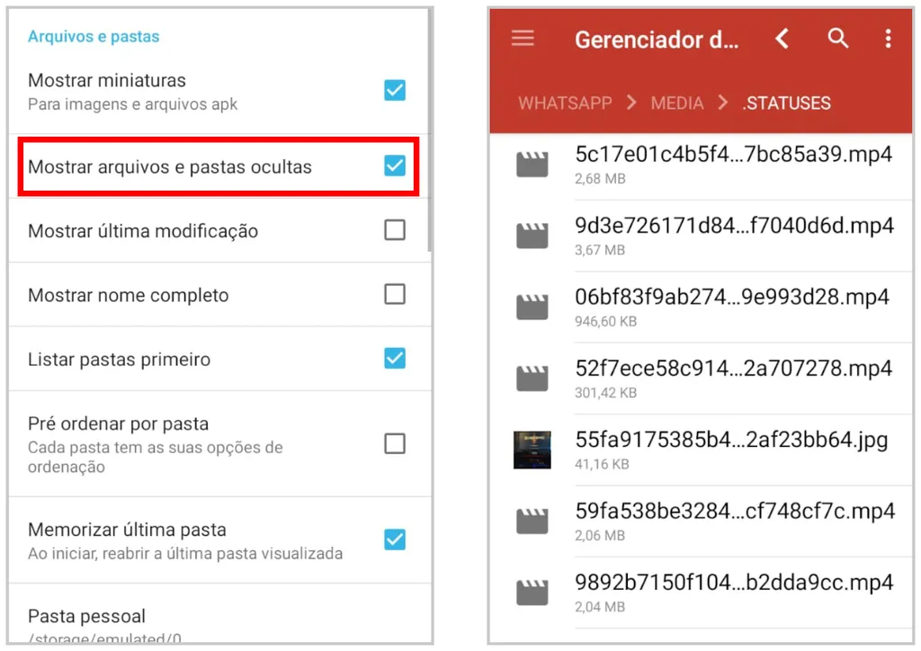 Habilite a opção de ver arquivos e pastas ocultas para acessar os arquivos de Status (Captura de tela: Matheus Bigogno)