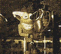 Game Boy Camera