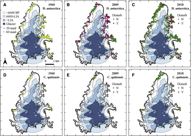 Distribuição e expansão das espécies pela Ilha Signy (Imagem: Reprodução/Nicoletta Cannone et al.)