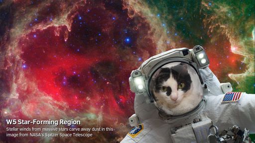 Qualquer um pode "virar" astronauta com este novo app da NASA