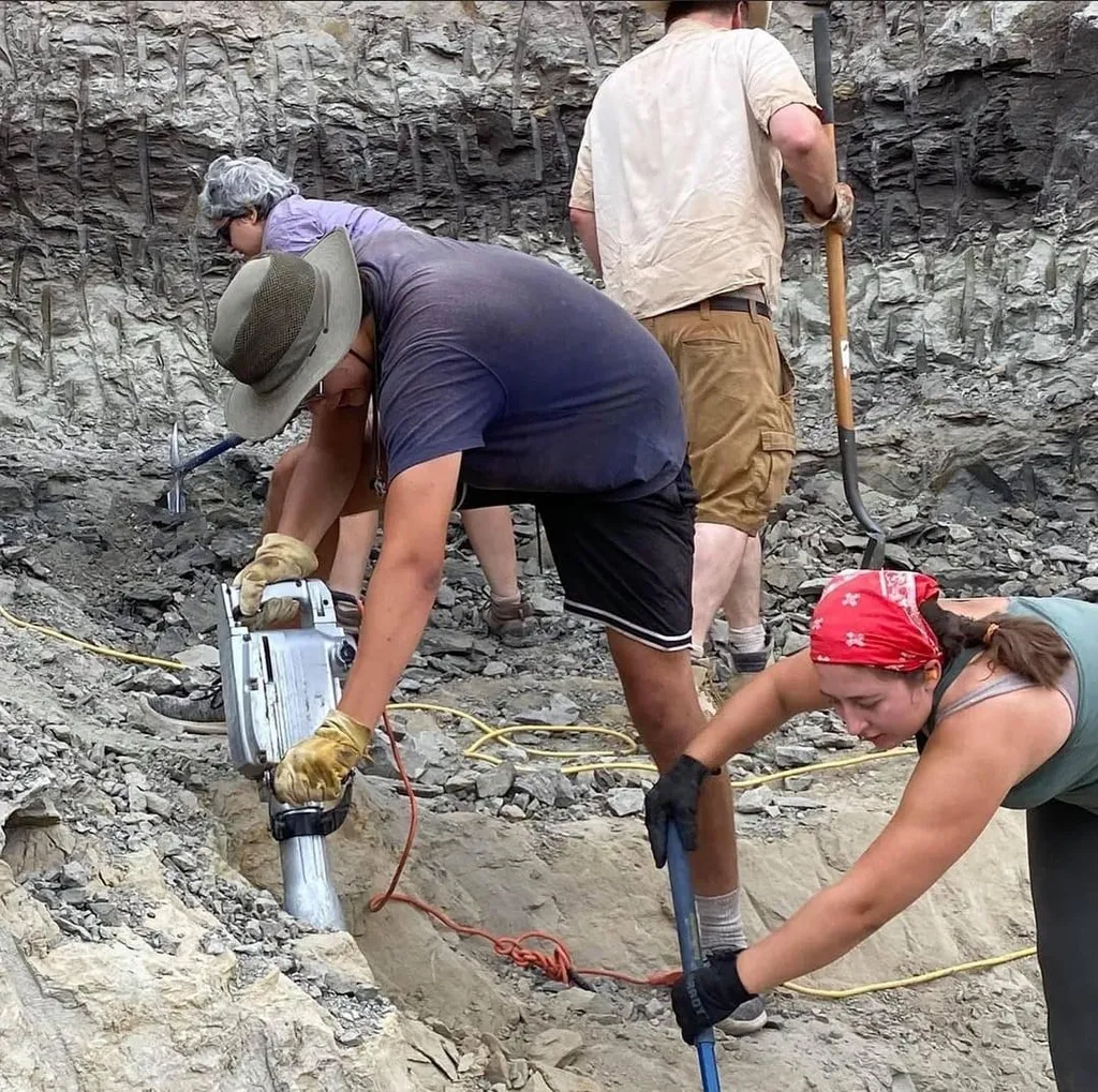 Eliás Warshaw, um dos paleontólogos da equipe, escavando a rocha para recuperar o fóssil (Imagem: Dickinson Museum Center)